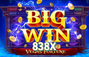 838X Logo 2