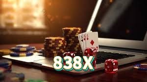838X Instalar Logo 2